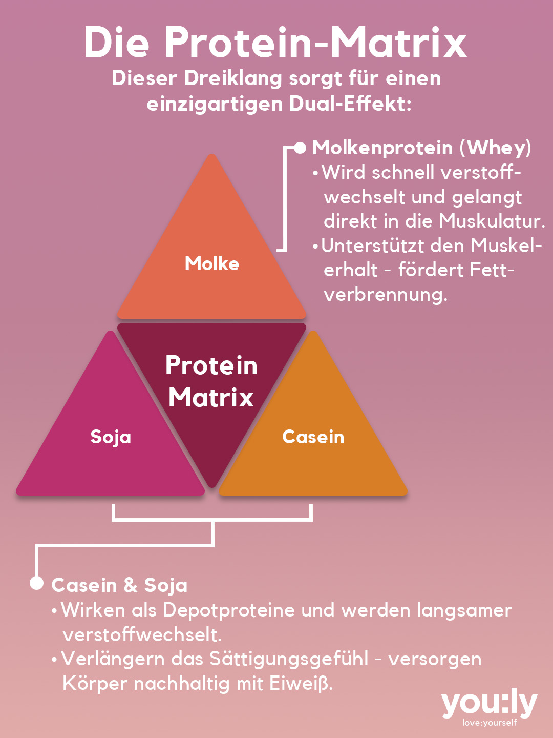 bodylove shake Pistazie 30 Portionen